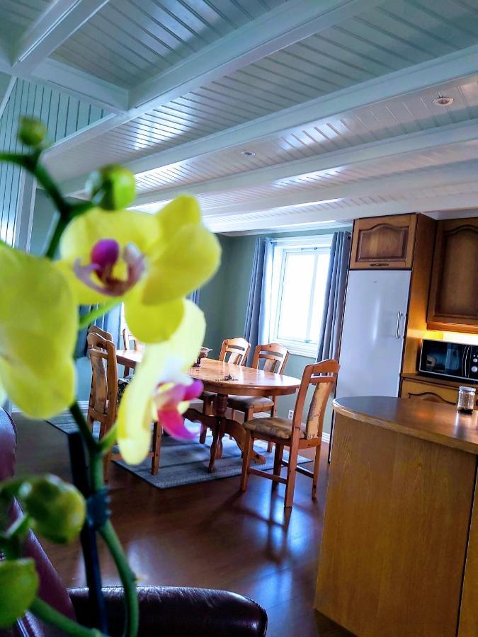 Banpim Beachside Lofoten Ramberg Ngoại thất bức ảnh