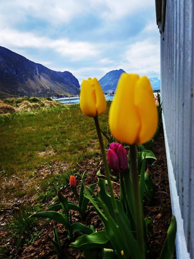 Banpim Beachside Lofoten Ramberg Ngoại thất bức ảnh
