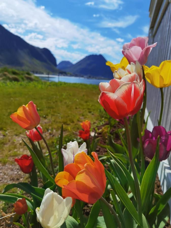 Banpim Beachside Lofoten Ramberg Ngoại thất bức ảnh